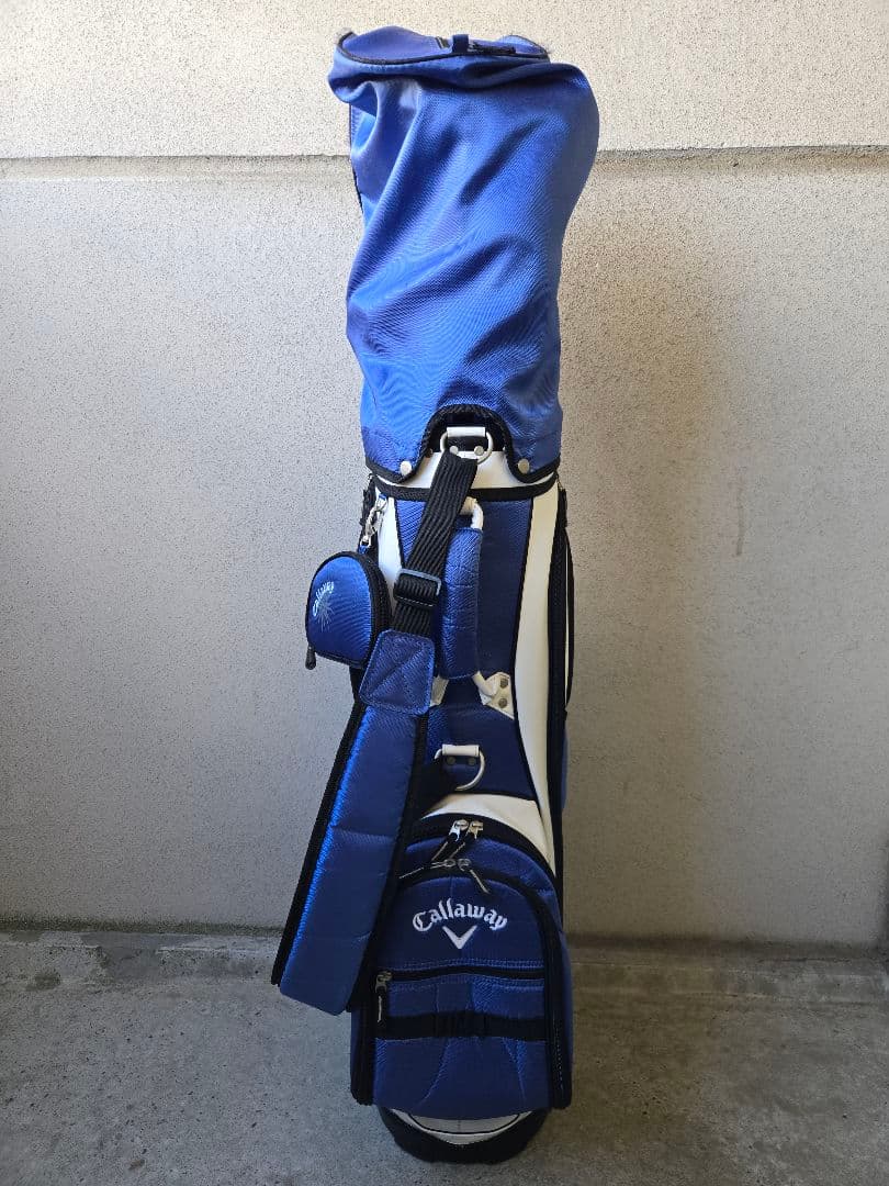 【初心者・ゴルフデビュー】レディース10本セット