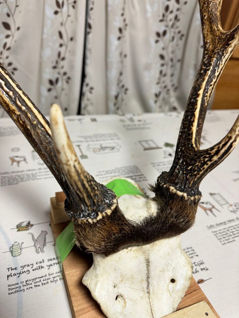 鹿の角　刀置き　オブジェ