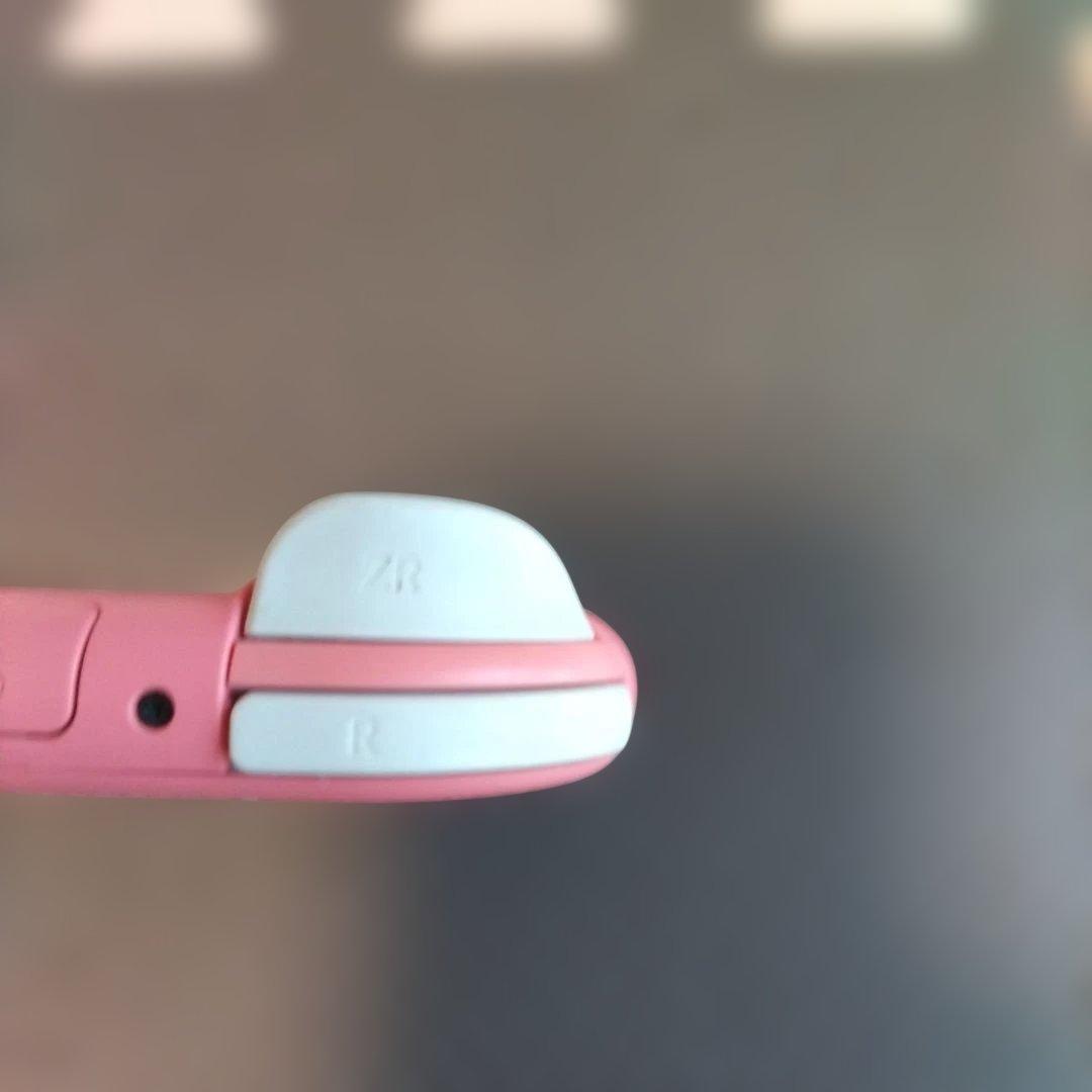 Nintendo Switch Lite ピンク　ジャンク 液晶画面要確認