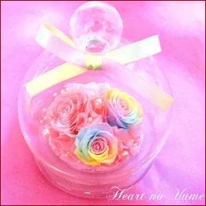 【楽天ランキング1位】プリザーブドフラワーパステルレインボーローズ ガラスドーム