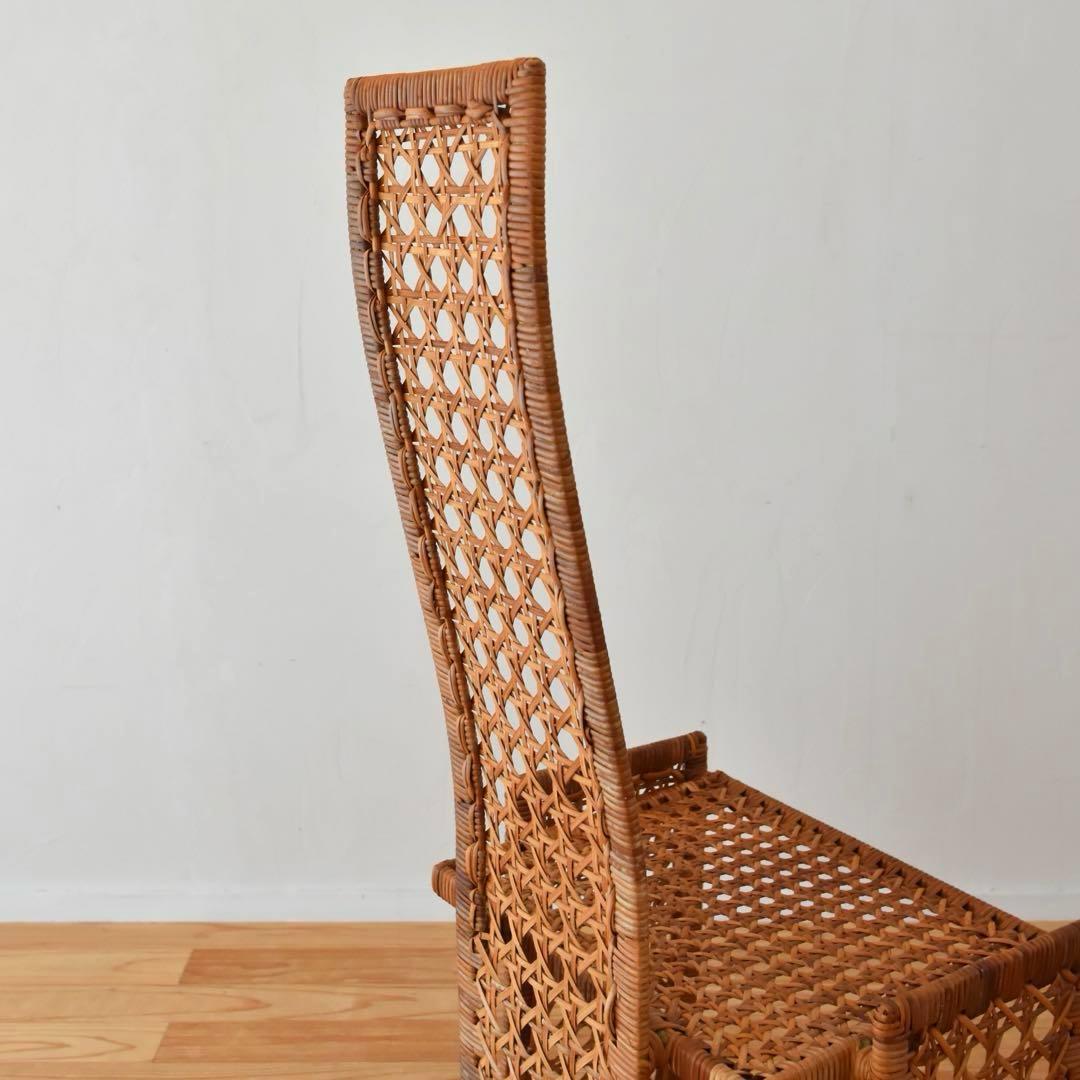 Danny Ho Fong Tropi-cal ラタン　01