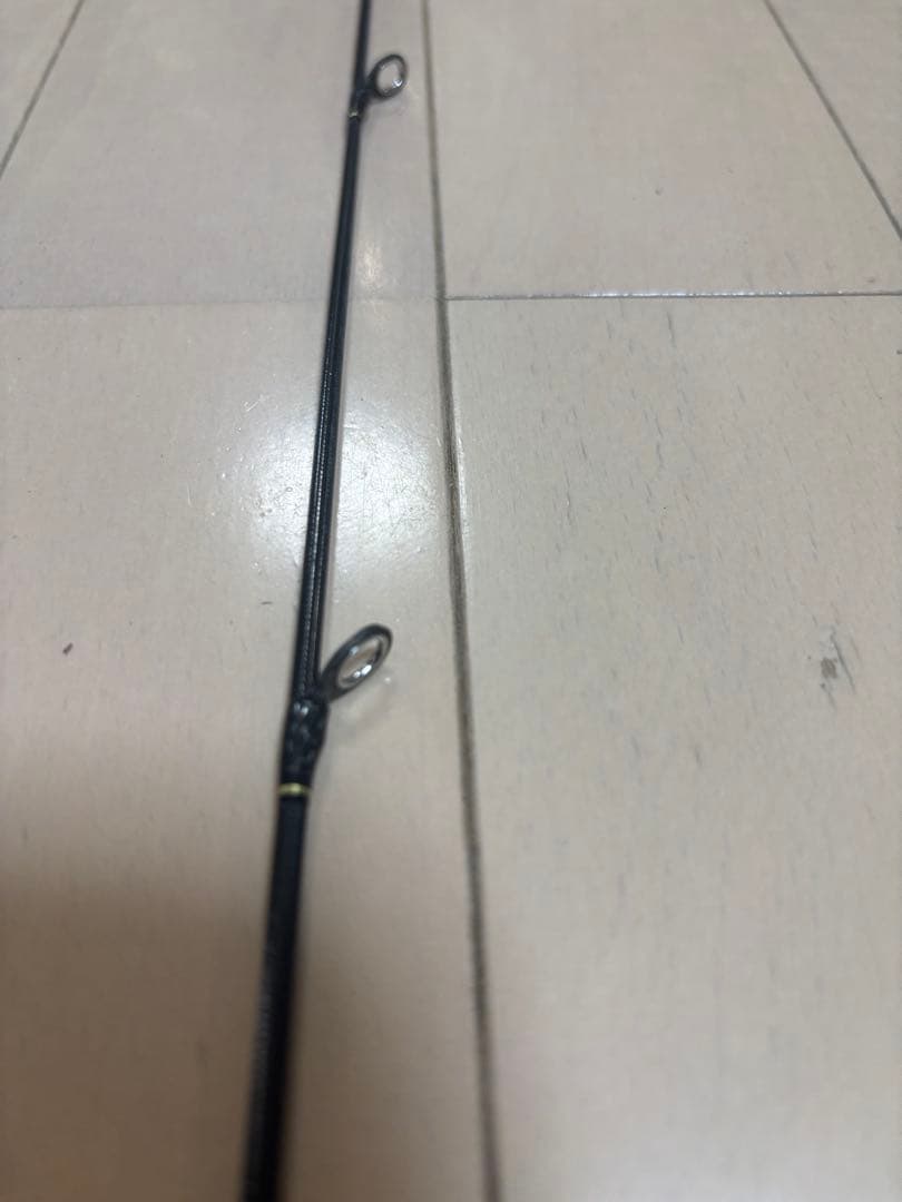 ダイワ モアザン ブランジーノ EX AGS 1010ML/M