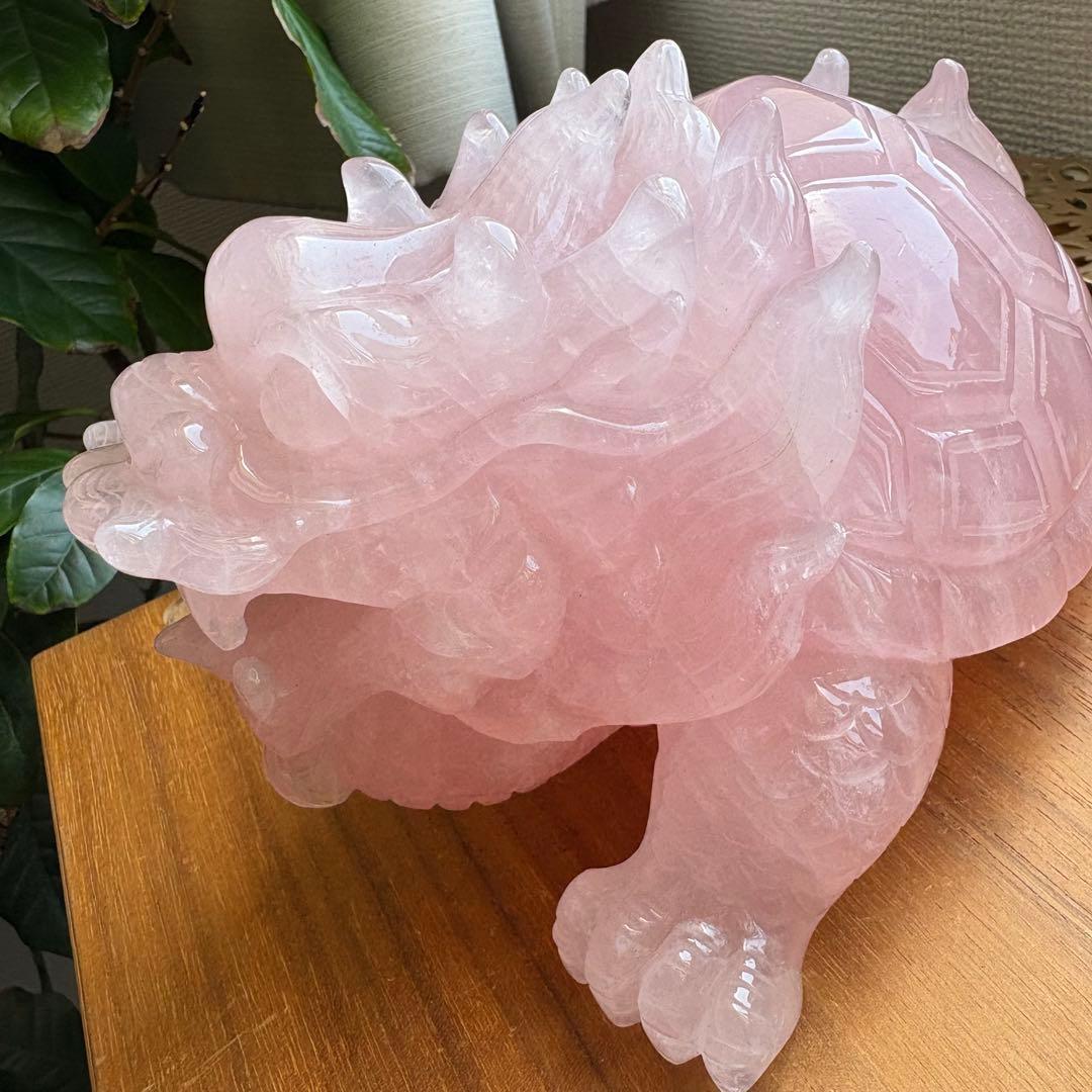 大型 高品質 マダガスカル産ローズクォーツ 龍亀（ロングイ） 置物2.45kg