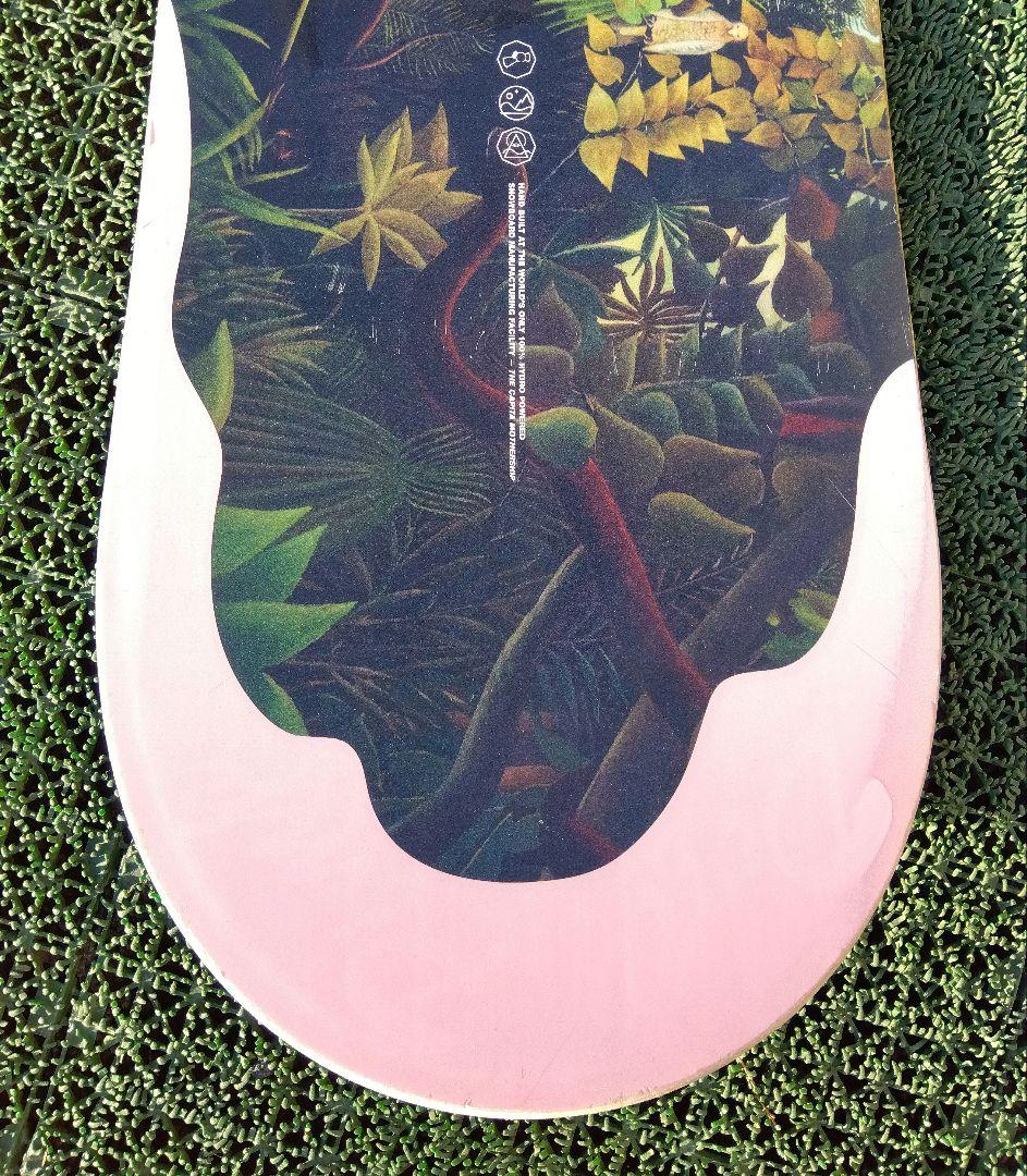 高級 レディース PARADISE 147/SALOMON RIDE FNTC