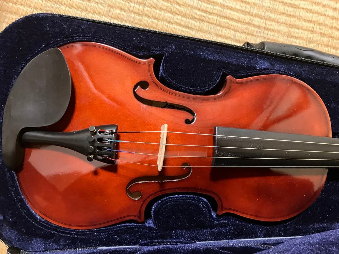 Eastar EVA-1 バイオリン スプルース&メイプル 初心者入門セット