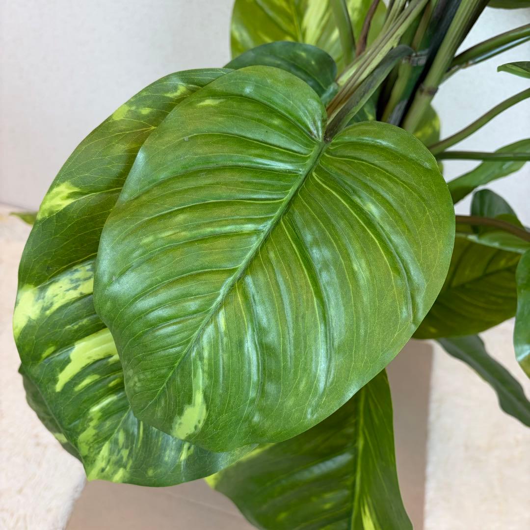 送料無料 フェイクグリーン 人工観葉植物 光触媒 150cm ポトス