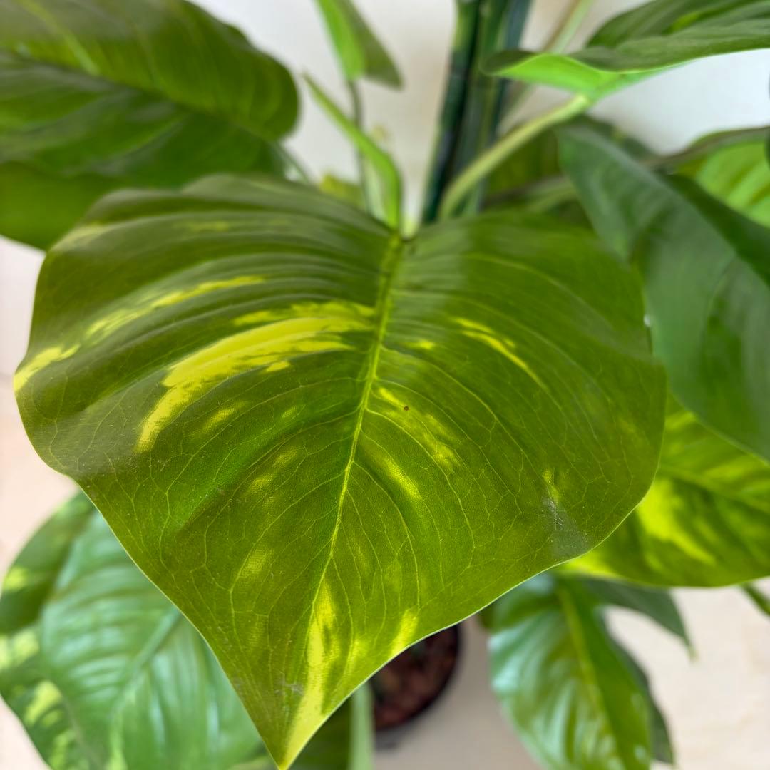 送料無料 フェイクグリーン 人工観葉植物 光触媒 150cm ポトス