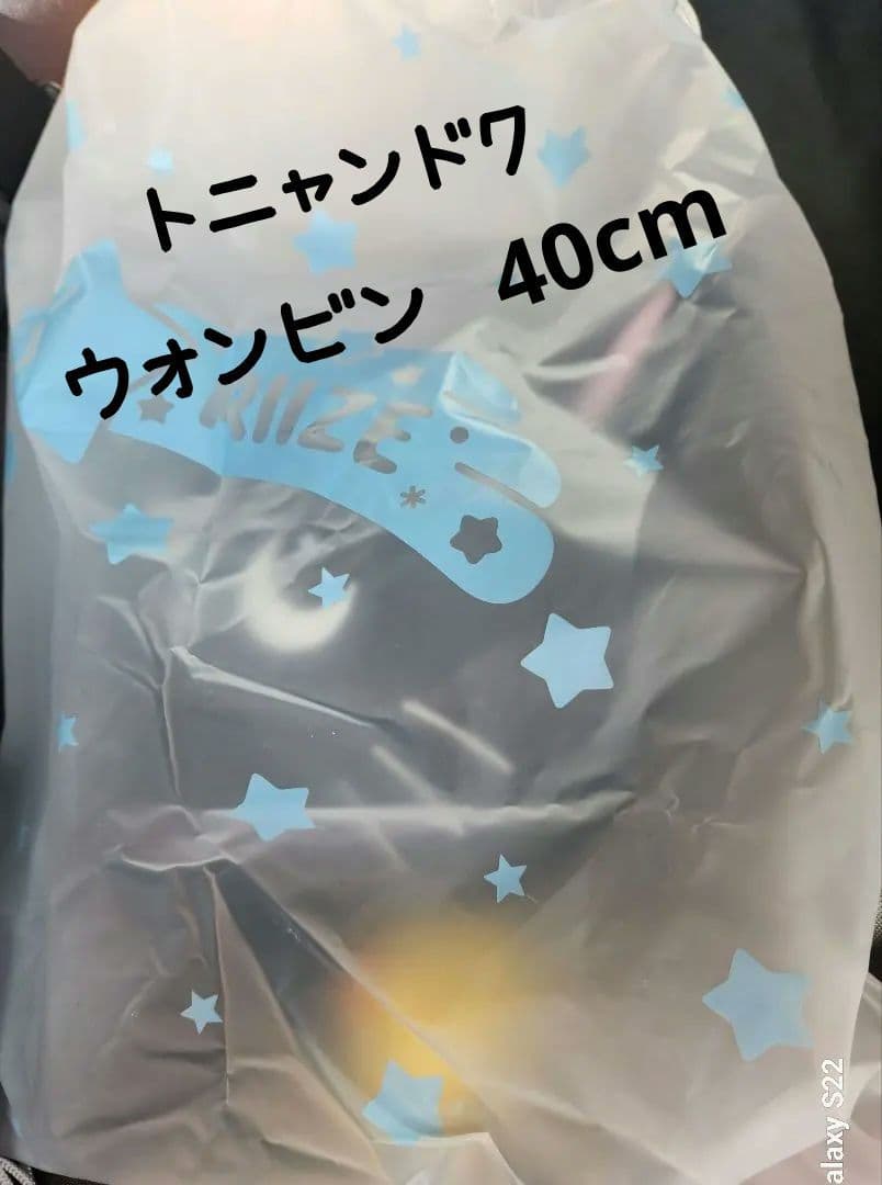 [公式]riizeウォンビン　40cm　トニャンドク　ぬいぐるみ