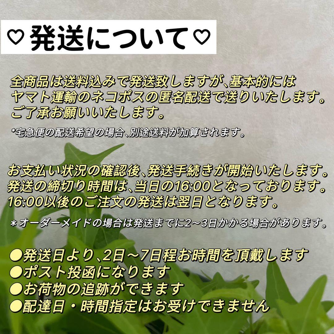 レーガ様 リクエスト 6点 まとめ商品　淡水ピアス　バロックパールピアス