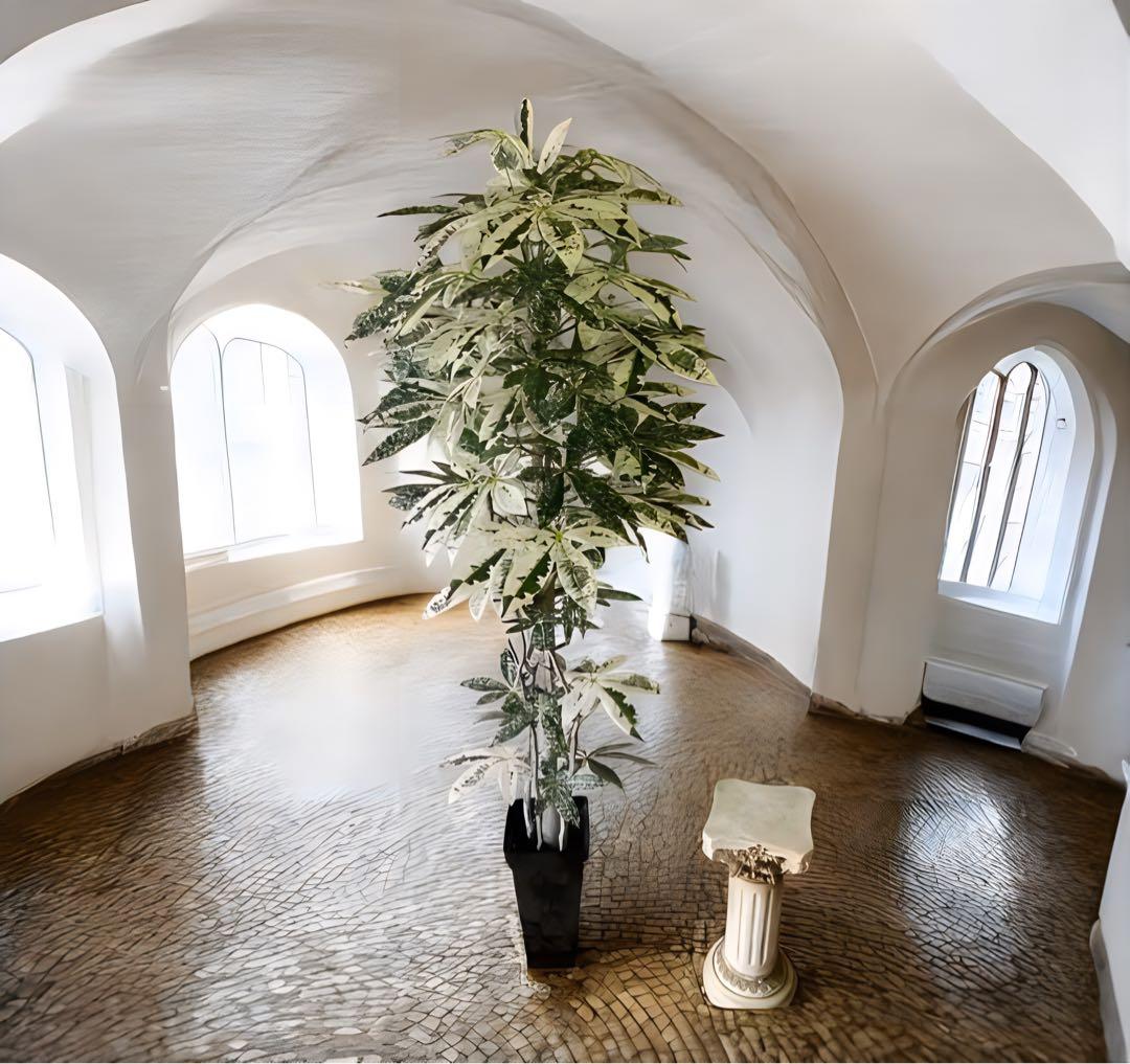 光触媒　人工観葉植物　ウォールグリーン　フェイクグリーン　斑入りパキラ175