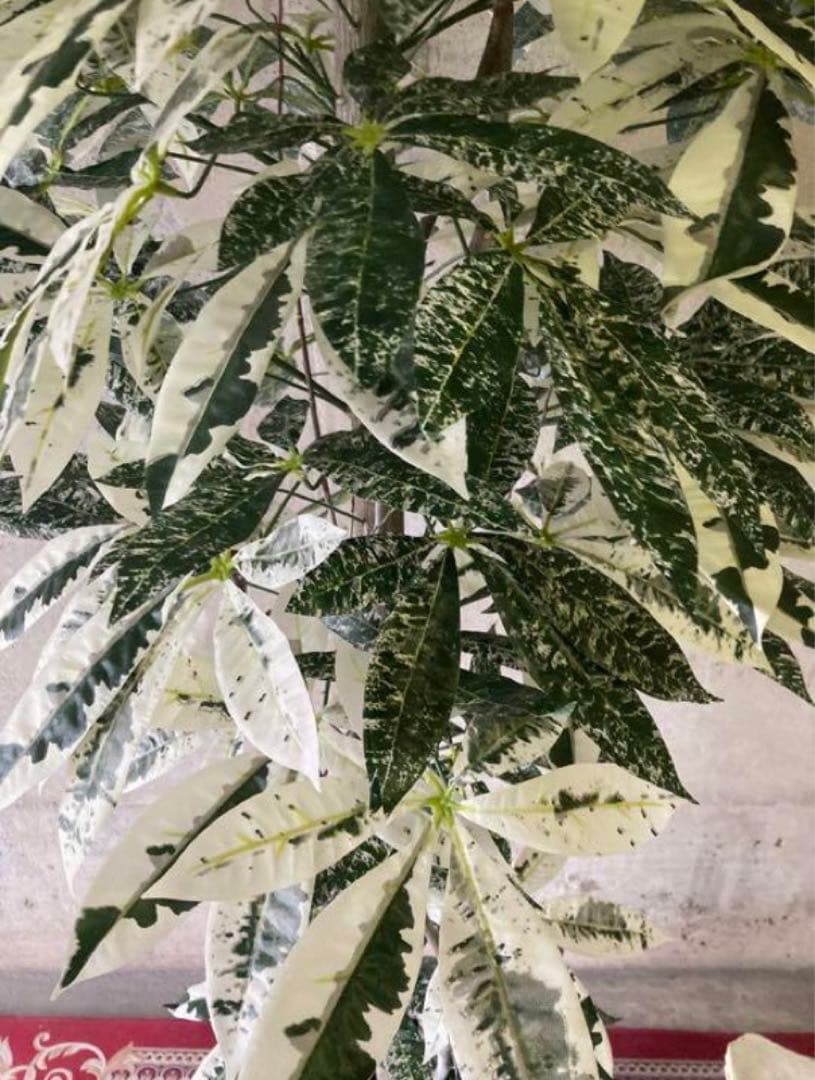 光触媒　人工観葉植物　ウォールグリーン　フェイクグリーン　斑入りパキラ175