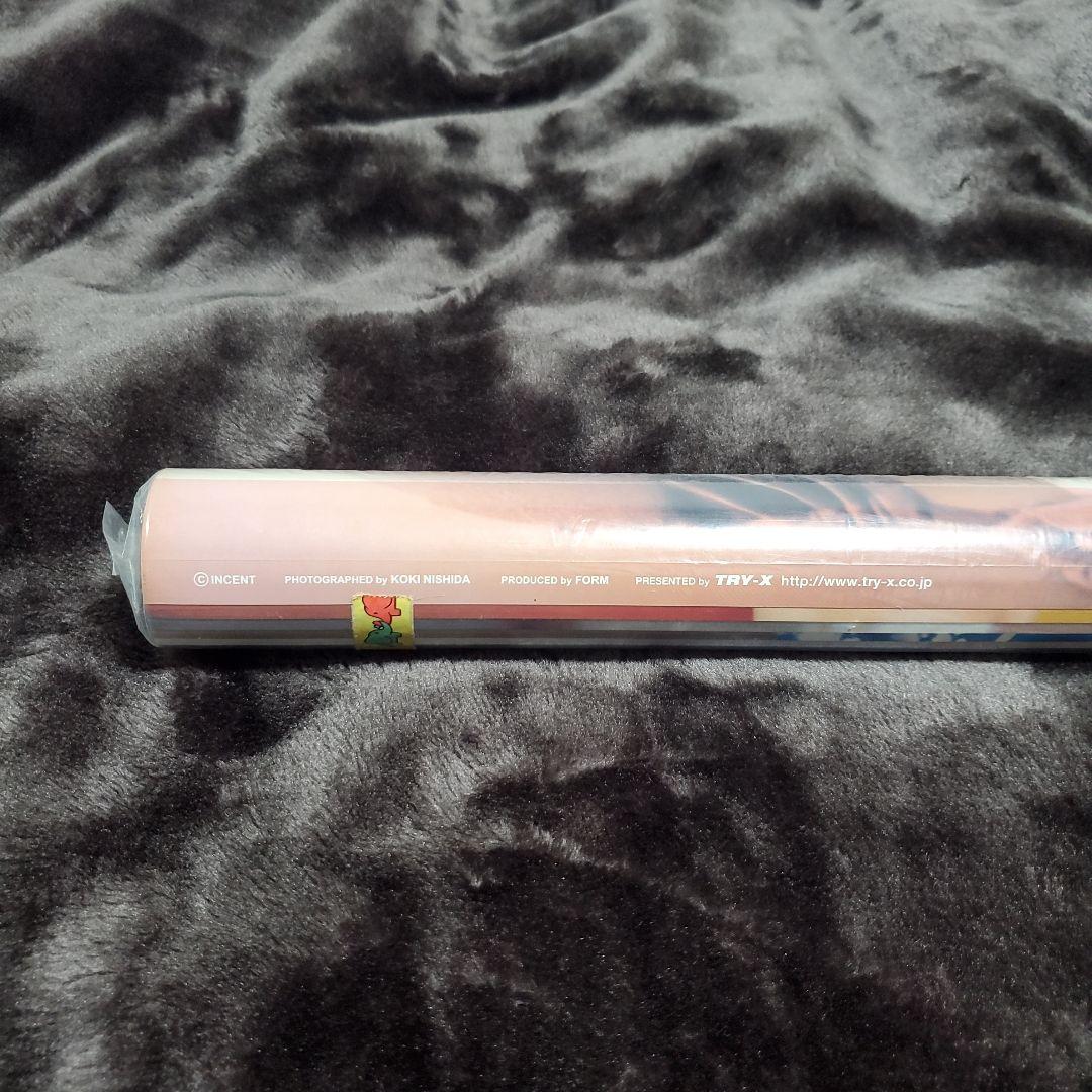 井上和香 2004年 CL-032 壁掛けカレンダー 新品未開封