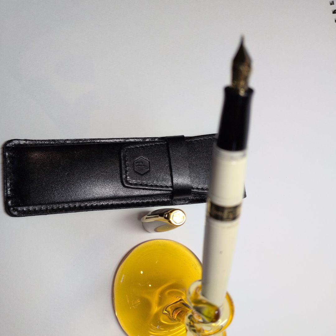 WATEMAN万年筆とペンケース