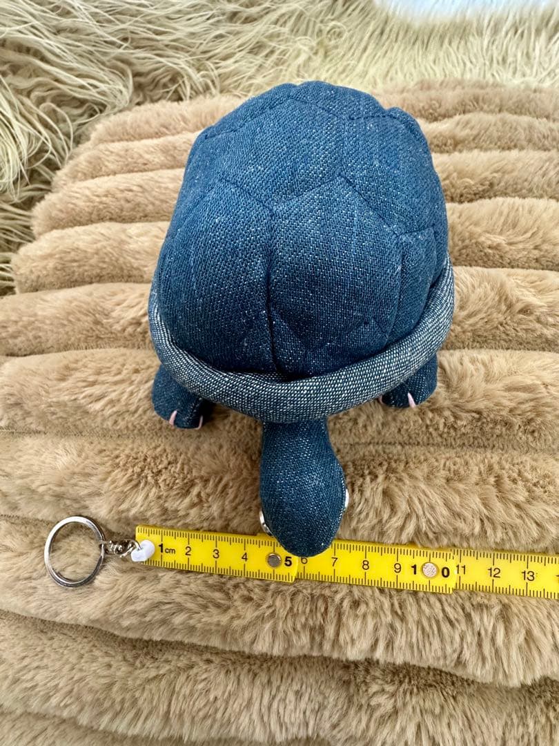 ハリウッドランチマーケット　カメ