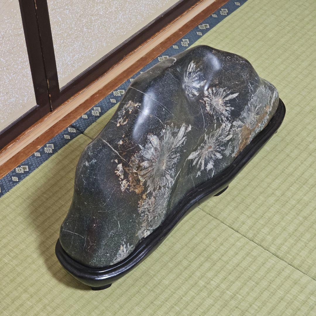 根尾菊花石18kg 台座付き　岐阜県根尾谷産　銘石水石鑑賞石