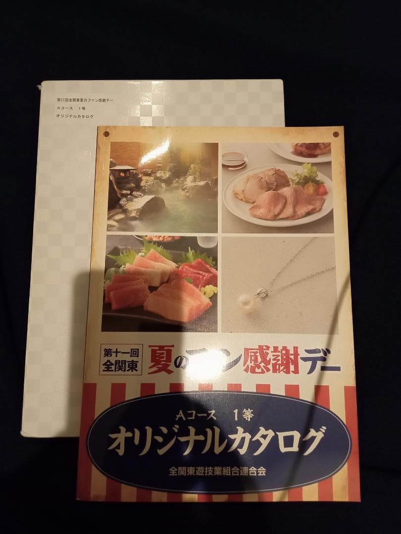 第11回全関東夏のファン感謝デー オリジナルカタログ　【送料込み】