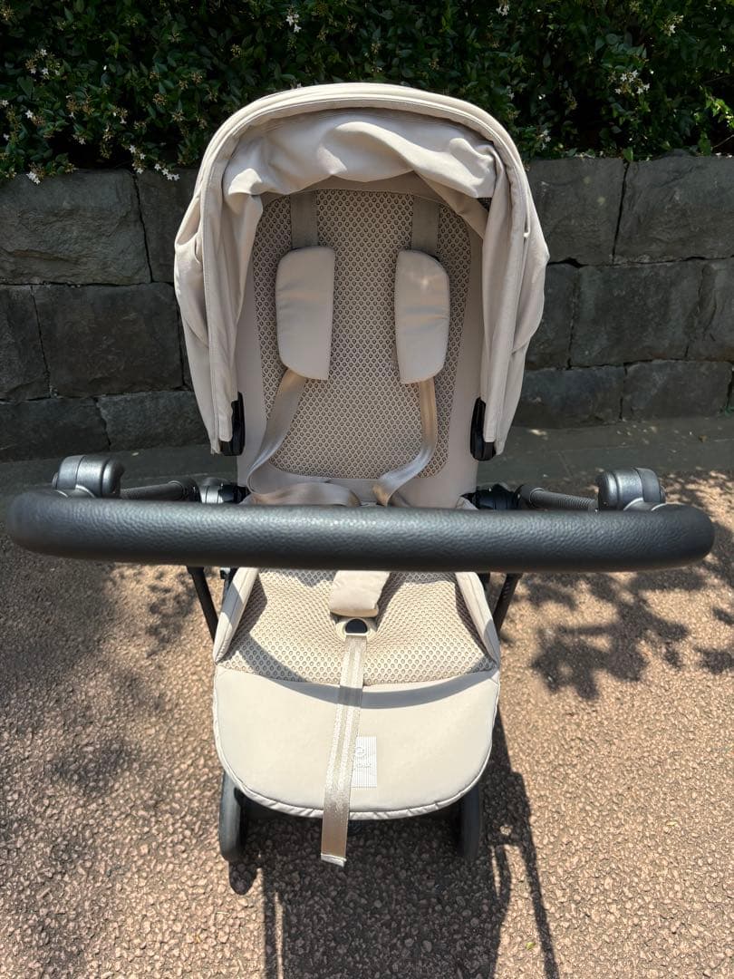 メリオカーボン　2025 アーモンドベージュ