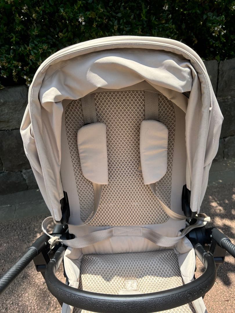 メリオカーボン　2025 アーモンドベージュ