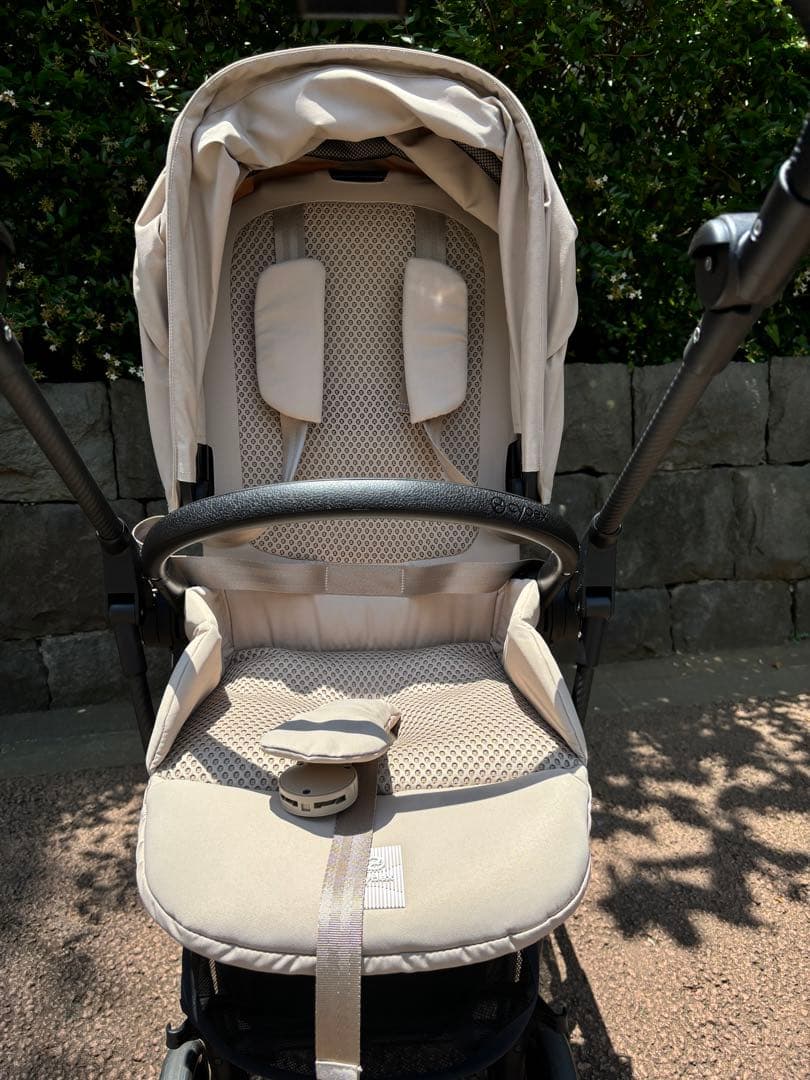 メリオカーボン　2025 アーモンドベージュ