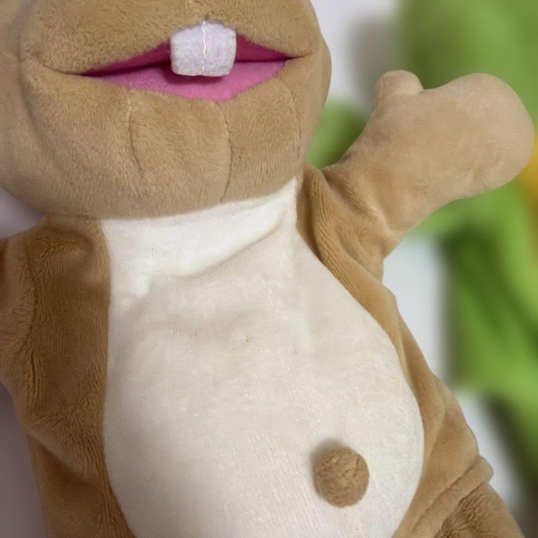 【DWE】Zippy and Me DVD CD フロギー＆バニー