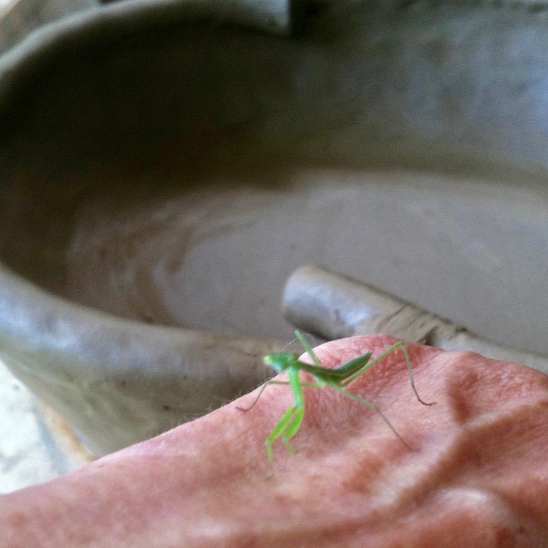 No.2 バードバス　餌台　：小鳥二羽、カタツムリ、カエル、カメ　焼き締め焼成