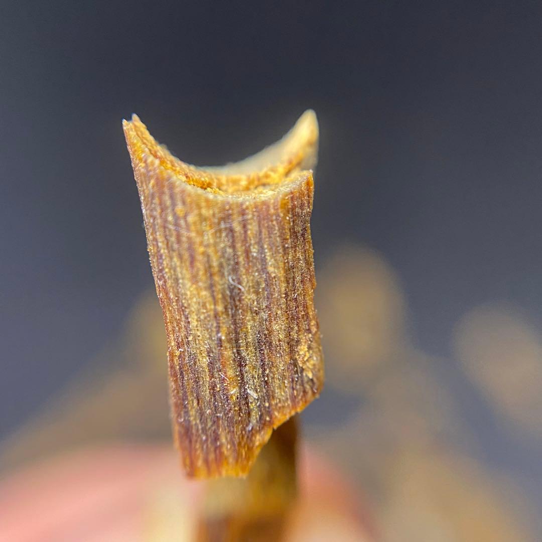 【極上品】高油分 伽羅 くり抜き端材 香木 濃厚な香り　5g