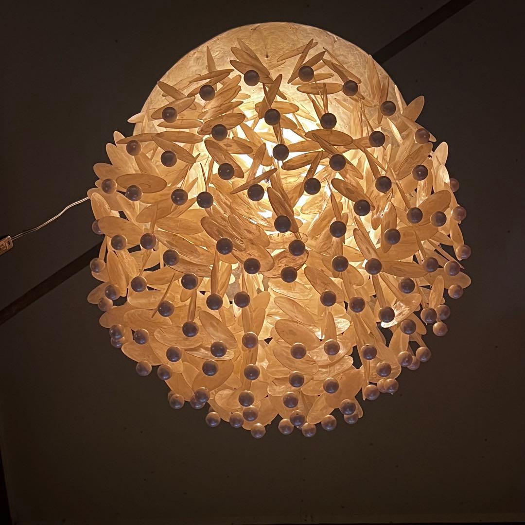 カスピシェル ウィンドチャイム シェルチャイム 照明 インテリア