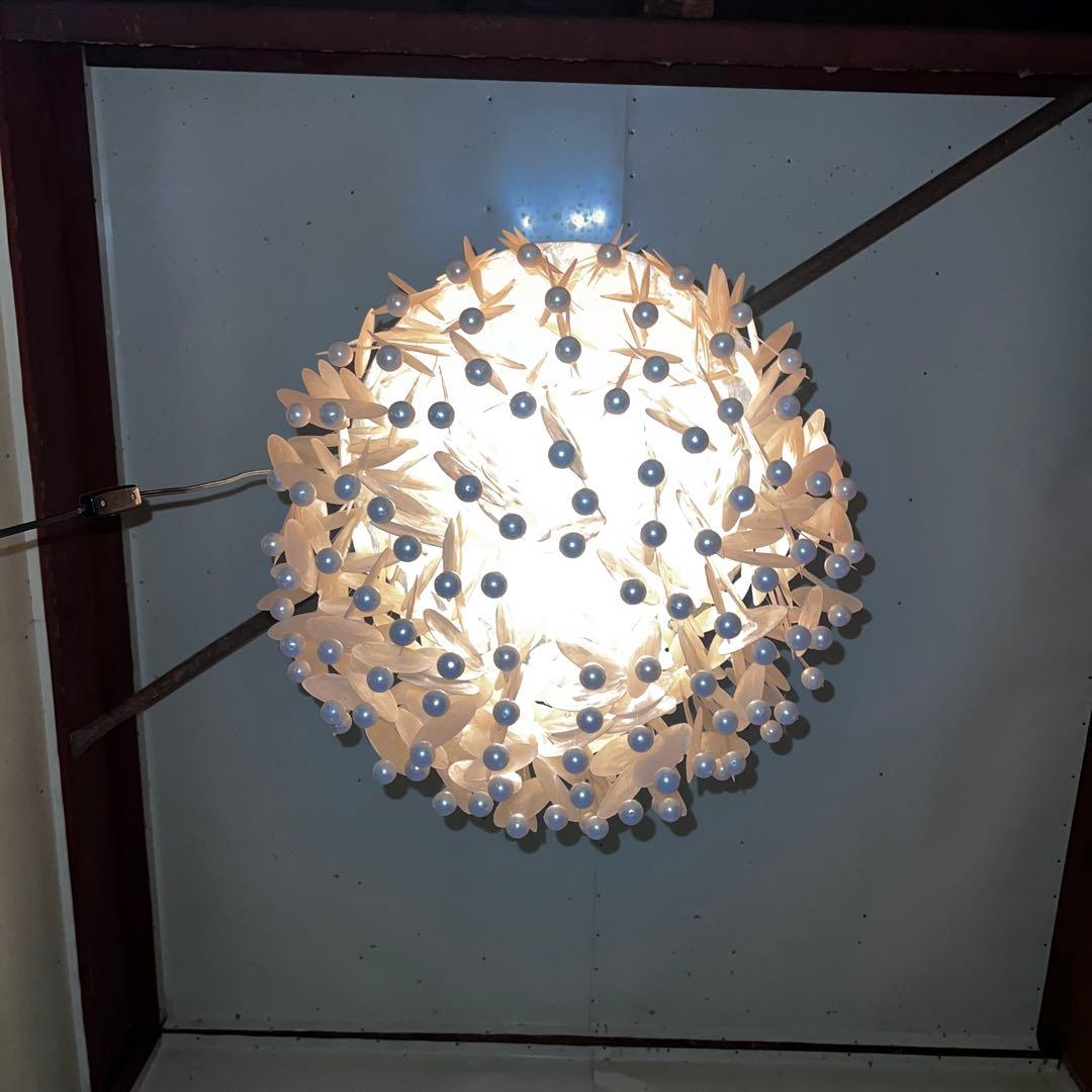 カスピシェル ウィンドチャイム シェルチャイム 照明 インテリア