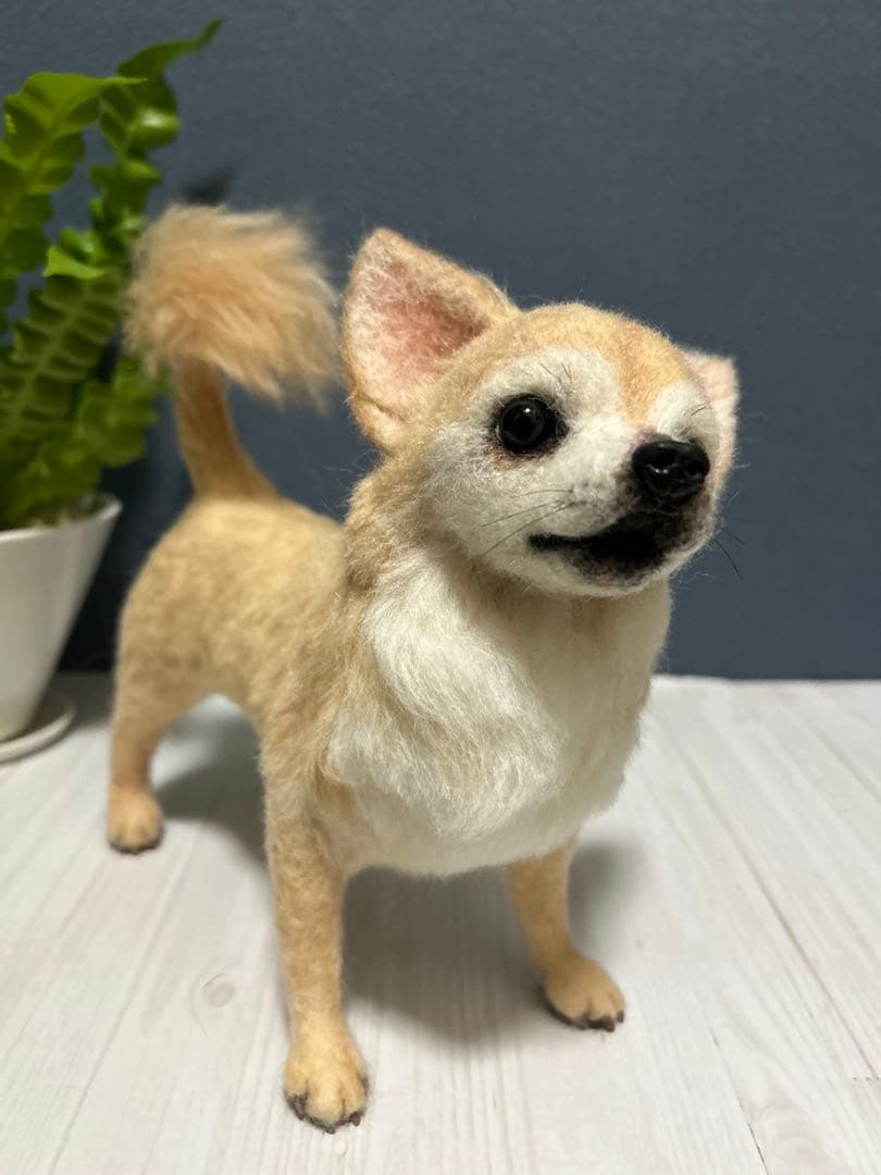 羊毛フェルト　チワワ　サマーカット