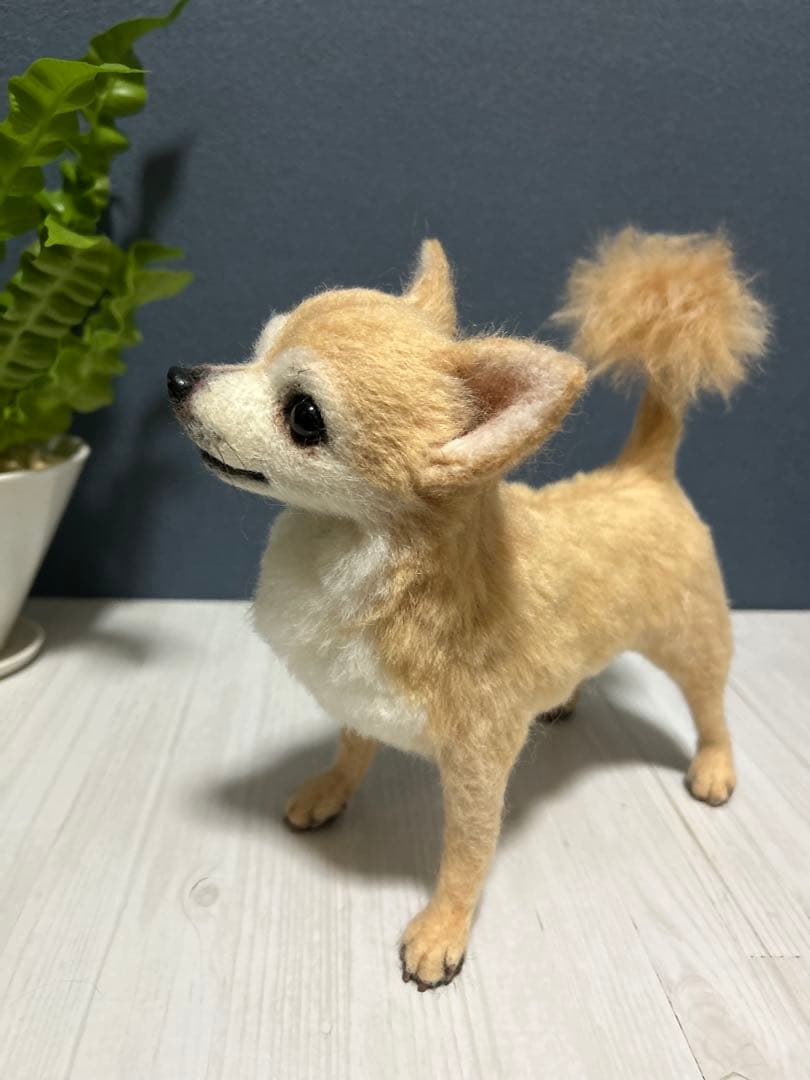 羊毛フェルト　チワワ　サマーカット