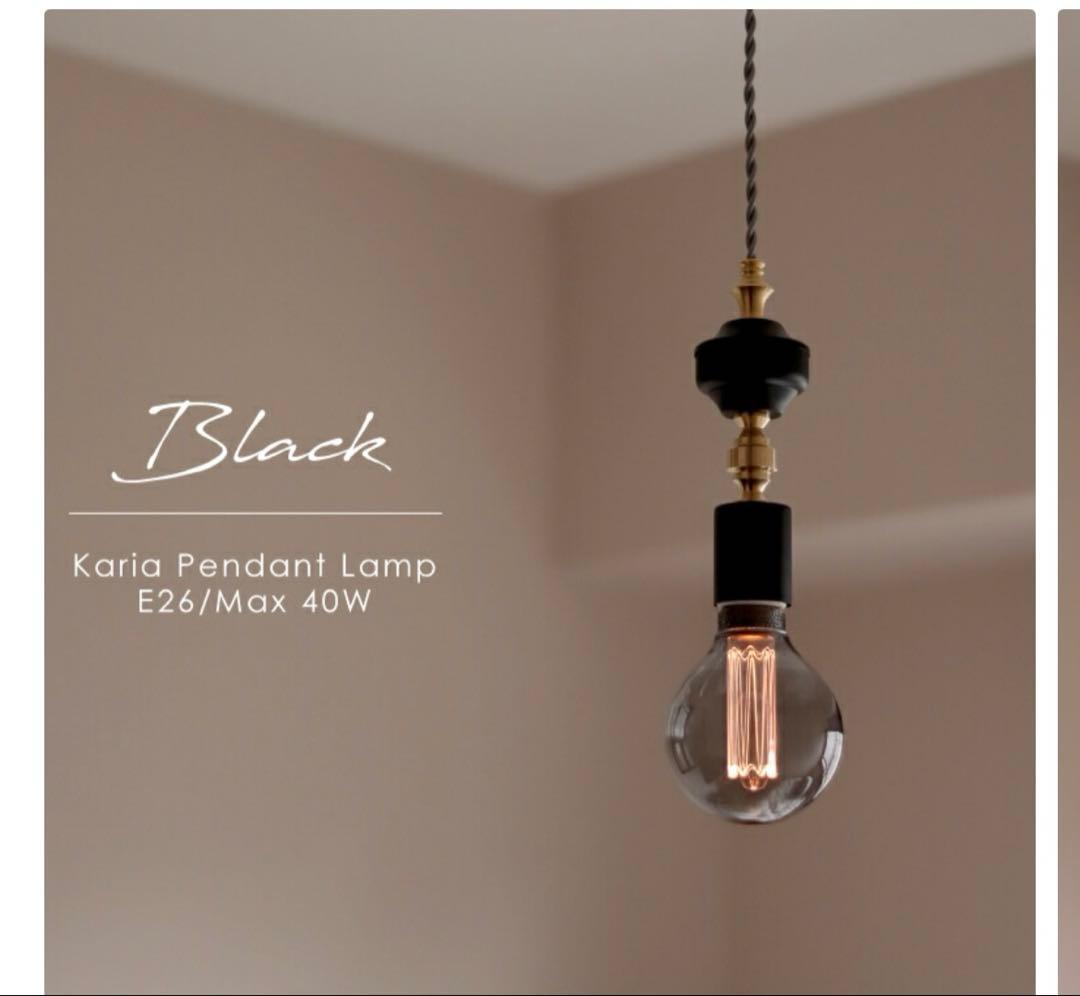 ペンダントライト　吊り下げ照明　電球セット　ブラック