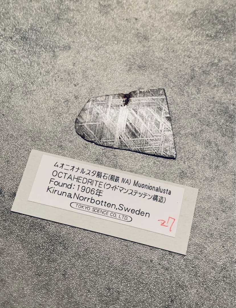 ムオニオナルスタ隕石 標本