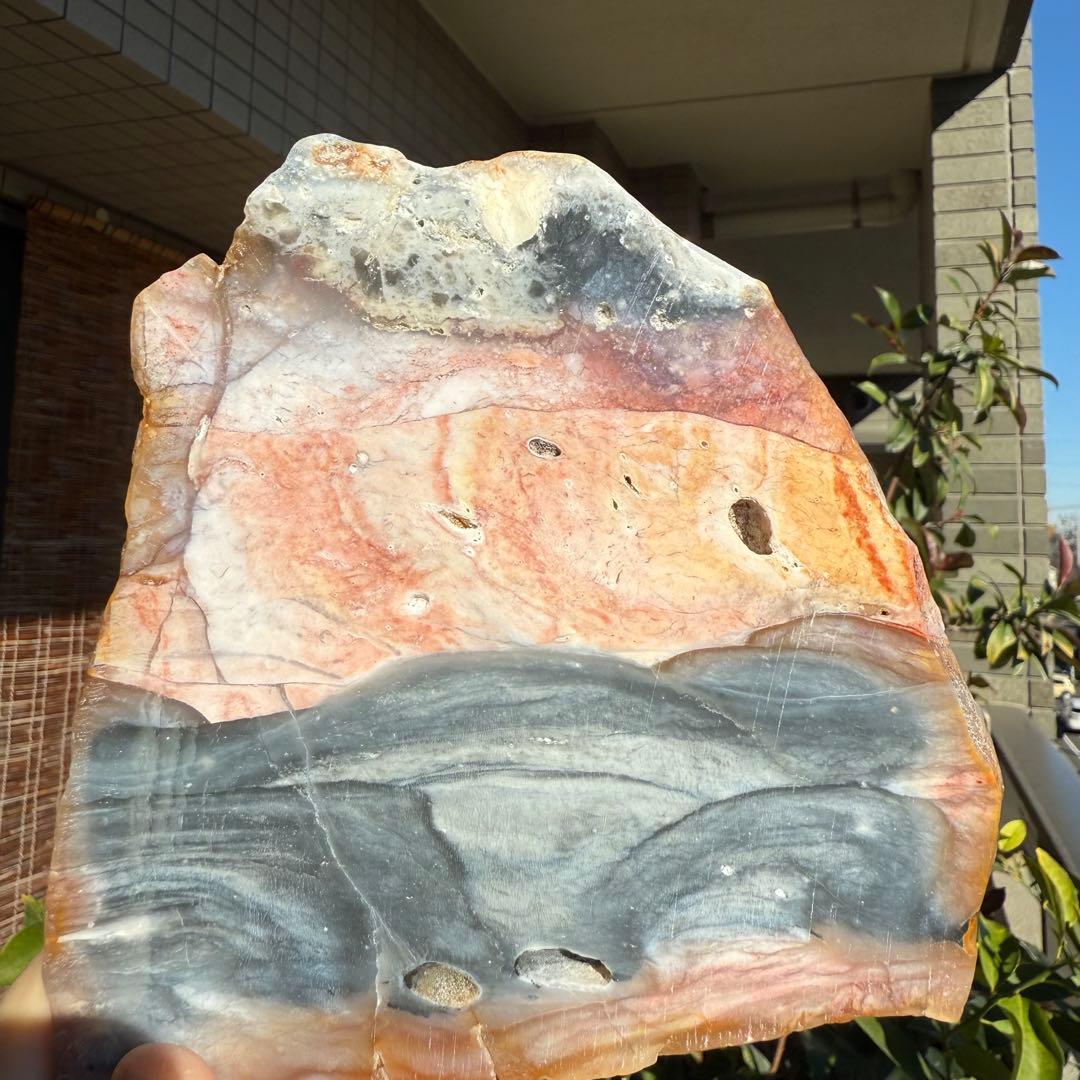 高品質　ペトリファイドウッド　520g プレート　底面磨き　台座付き　珪化木②