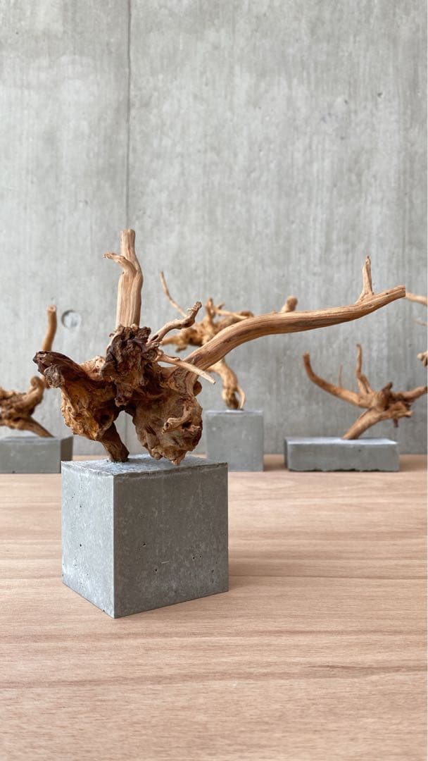 コンクリート盆栽 (m B ) 流木 オブジェ ディスプレイ 高級感