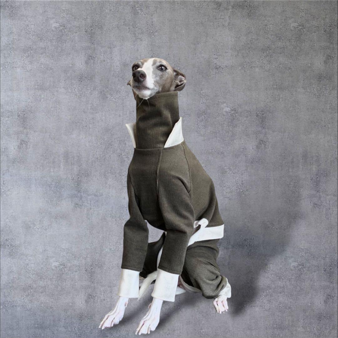 ⑪コーデュロイ イン パリ