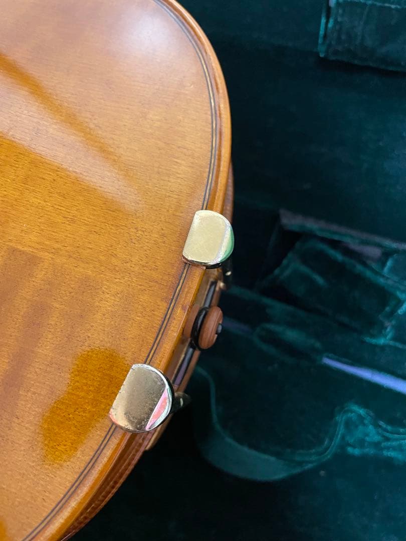 弦楽器 CARLO GIORDANO VS-2 4/4