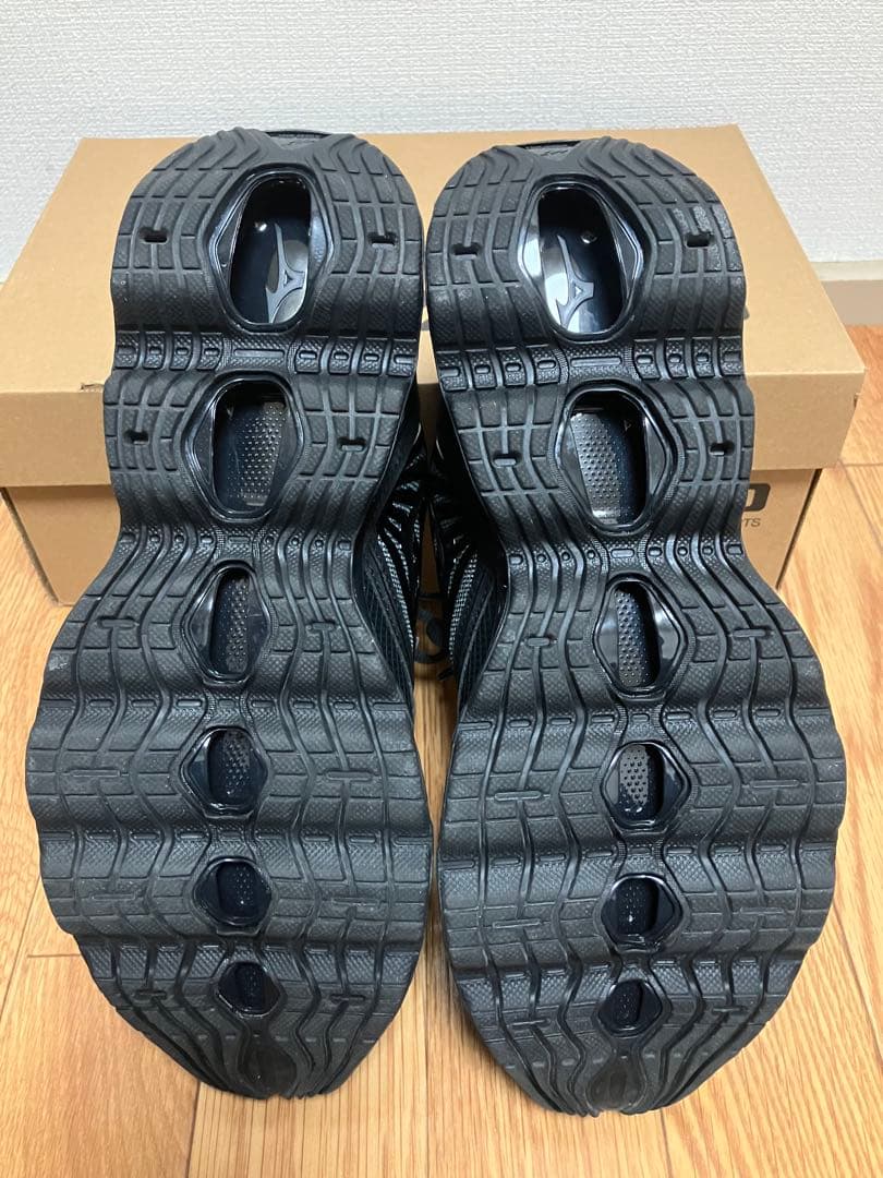 靴 MIZUNO WAVE PROPHECY LS GTX