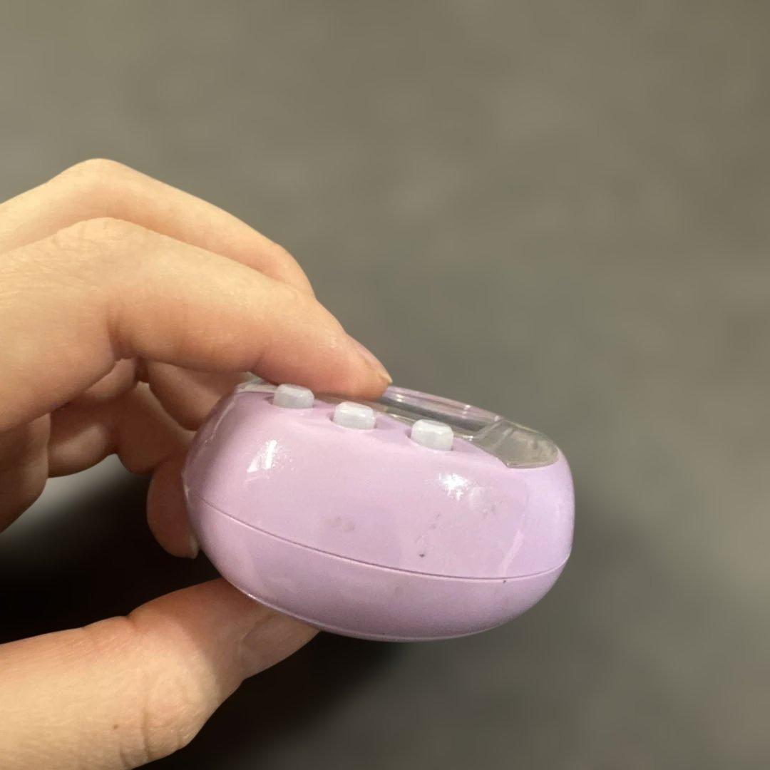 【特別！最終値下げ】たまごっちmix 本体のみ 動作確認済み