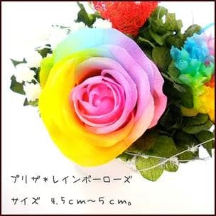 【高級プリザーブドフラワー】レインボーローズ＆カーネーション ハートアレンジ