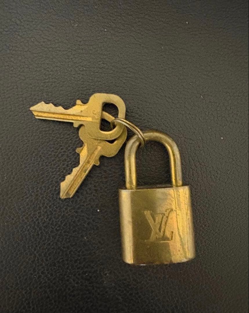 ルイ・ヴィトン スピーディ25 モノグラム