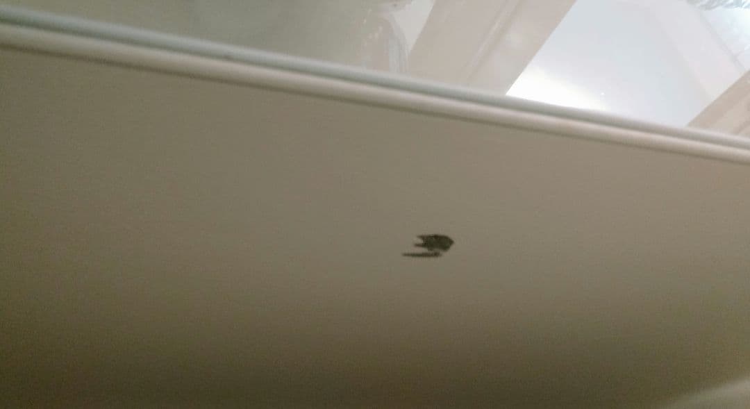 ケビント　ドクターキャビネット　医療用キャビネット　美品