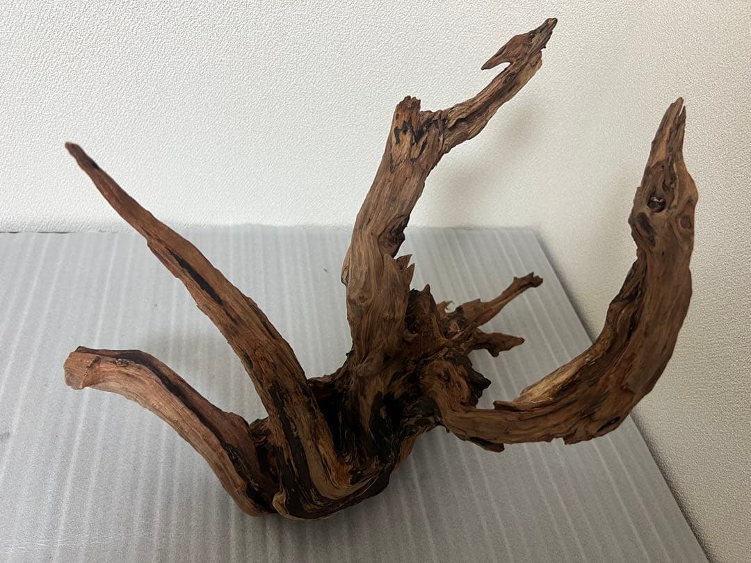 HX-079 流木　ホーンウッド　マシンガンウッド　アクアリウム　ブランチウッド