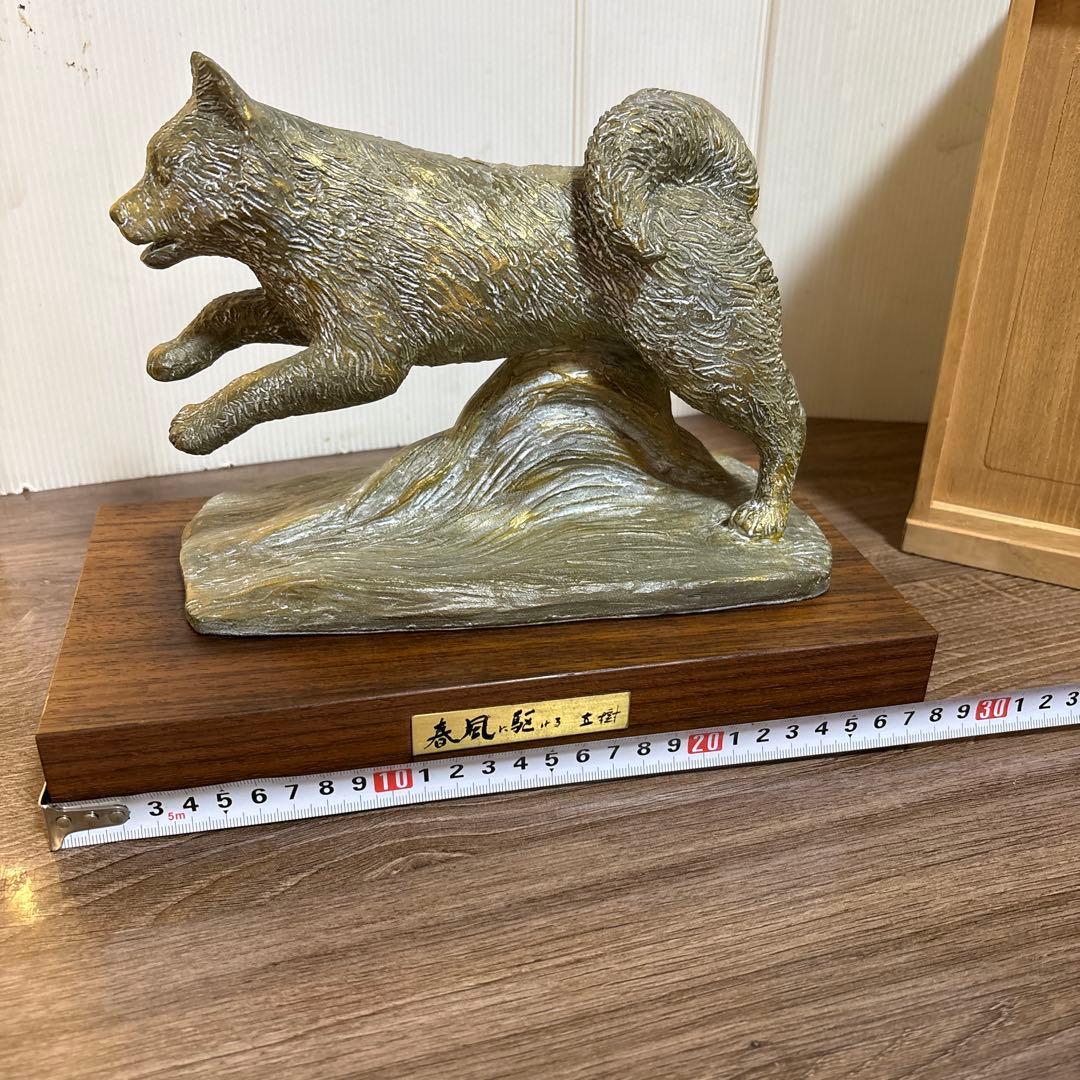 春風に駆ける　有名人 富永直樹(作)