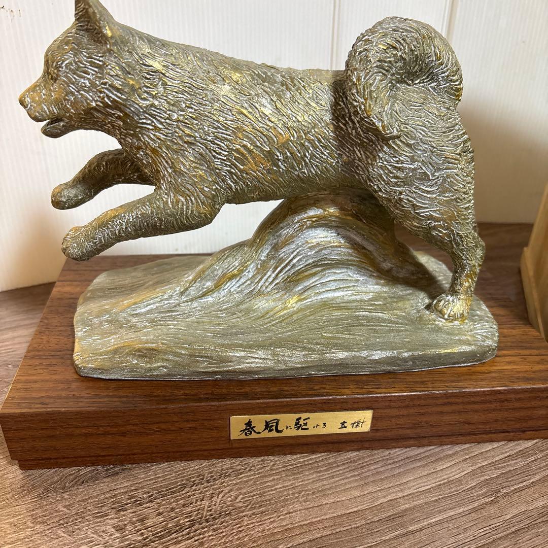 春風に駆ける　有名人 富永直樹(作)