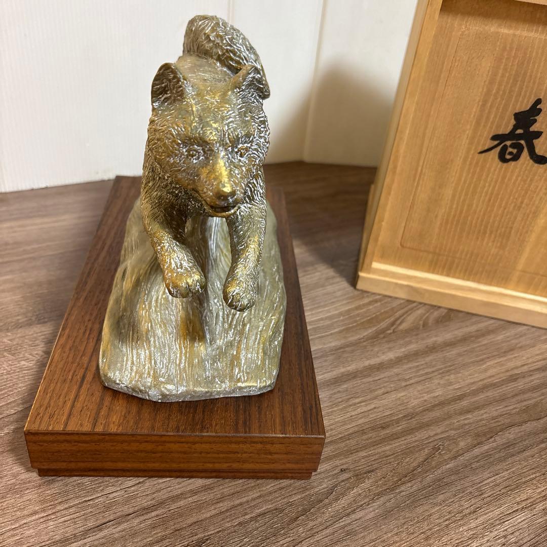 春風に駆ける　有名人 富永直樹(作)