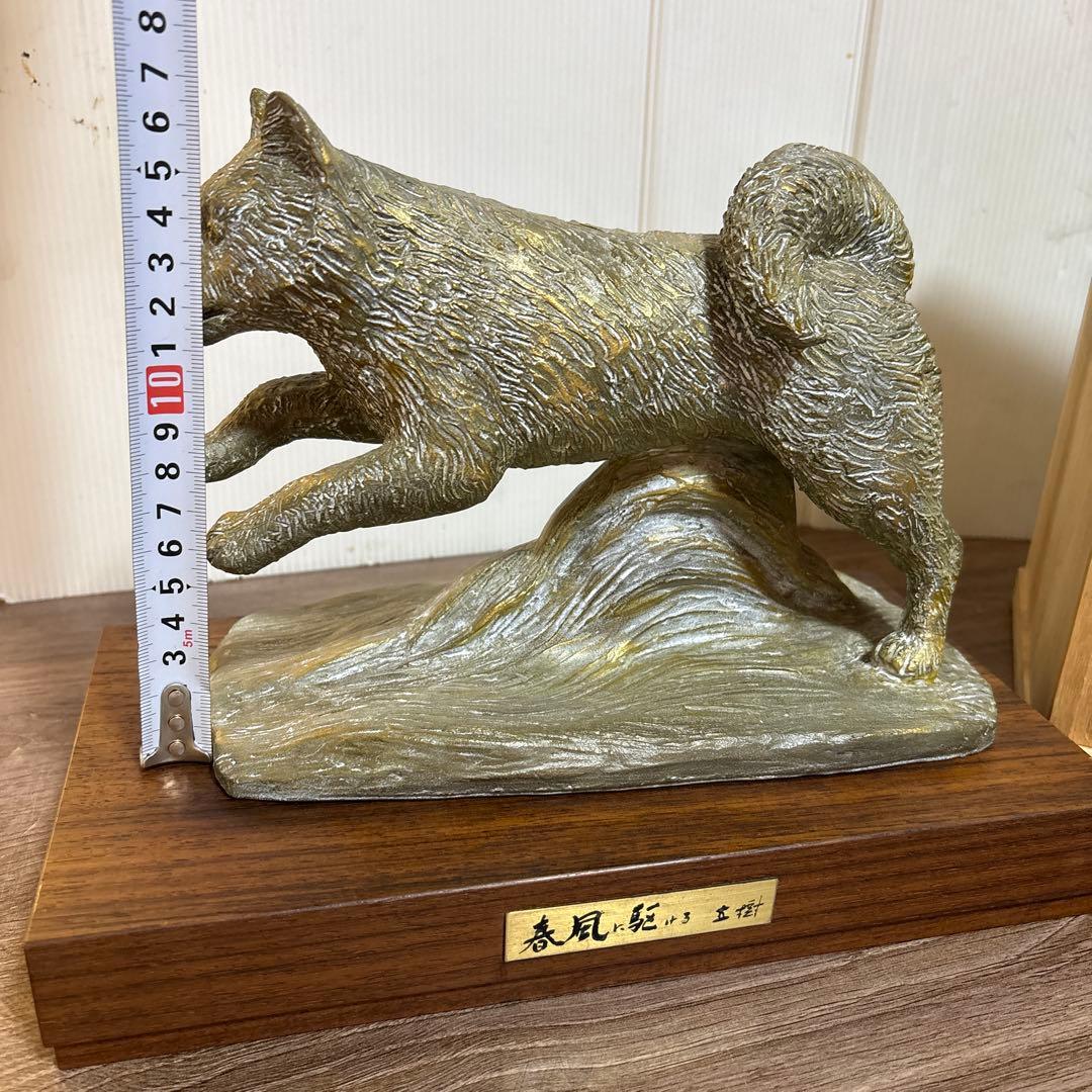 春風に駆ける　有名人 富永直樹(作)