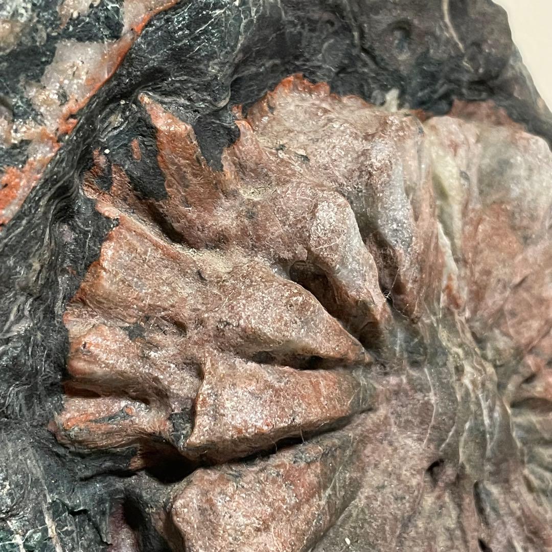 希少 天然 菊花石 観賞石 盆石 水石 木製台座付き 置物 インテリア 特大大型