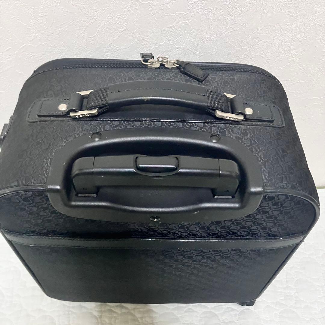 【希少】SWANY スワニー キャリーバッグ 機内持込 千鳥柄