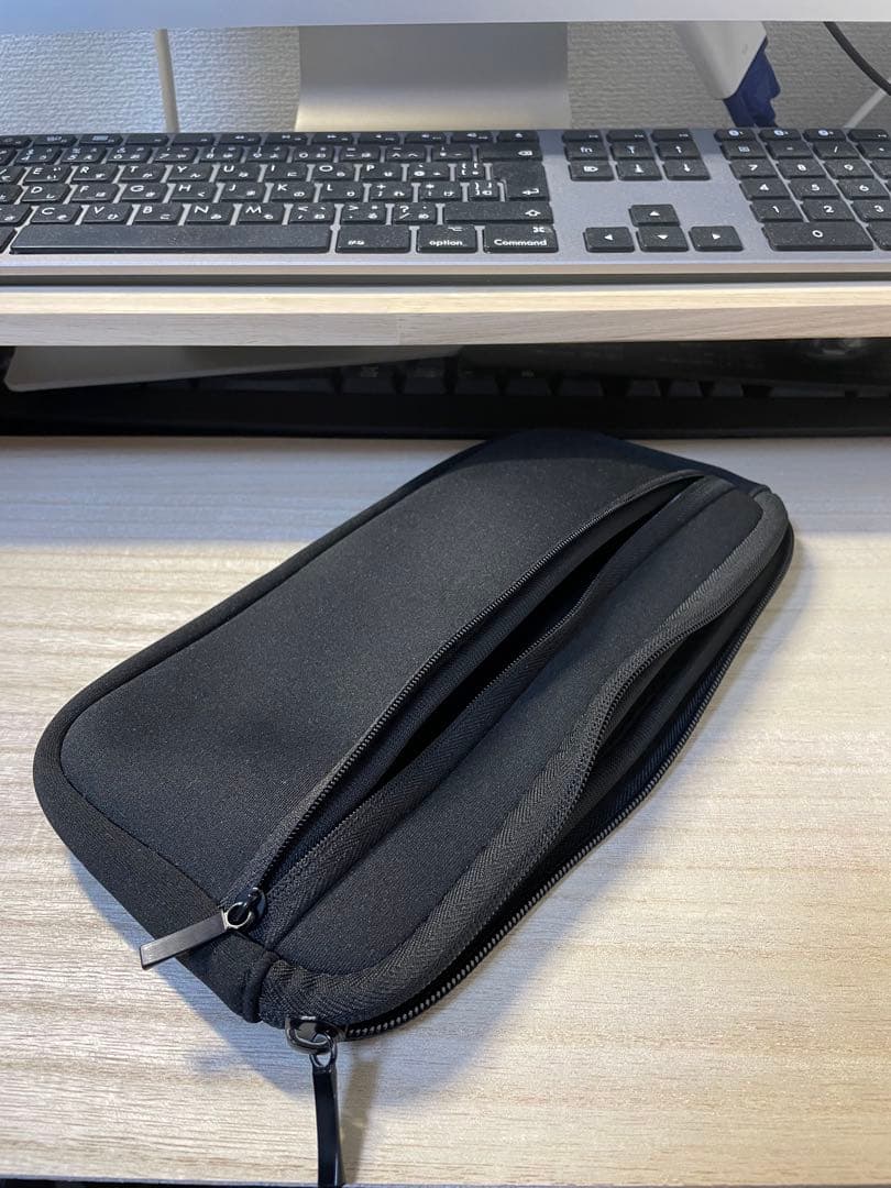 Nintendo Switch Lite ピンク 本体 充電器とケース付き！！！