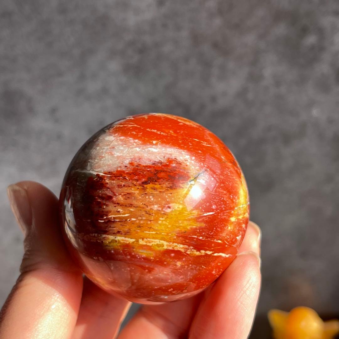 ペトリファイドウッド スフィア